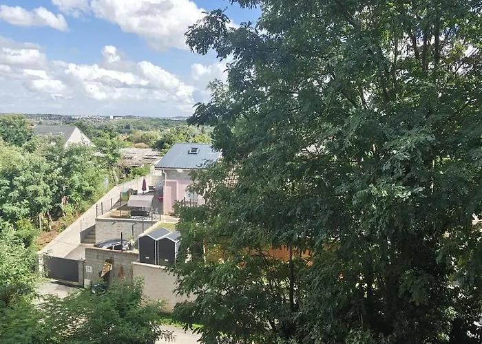 F2 In Desired House Linas